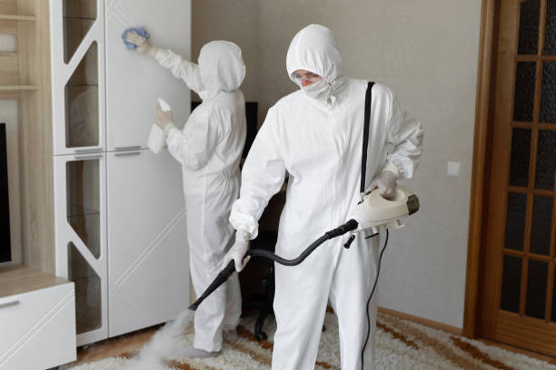 Best Mold Removal Process  in Shady Shores, TX